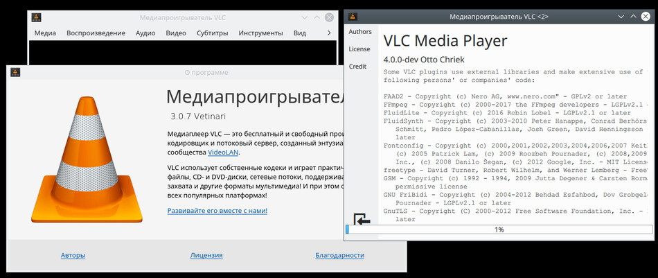 Несколько VLC одновременно