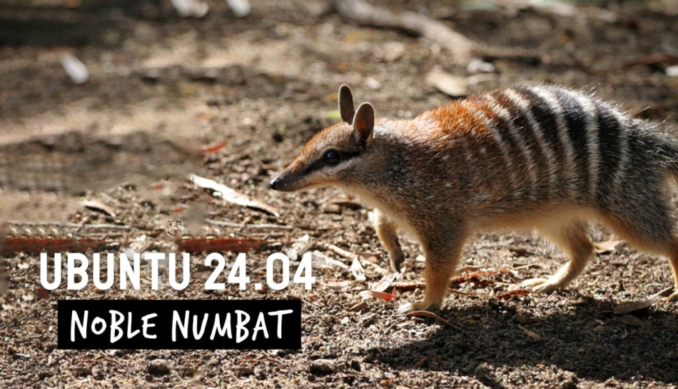Ubuntu 24.04 Noble Numbat