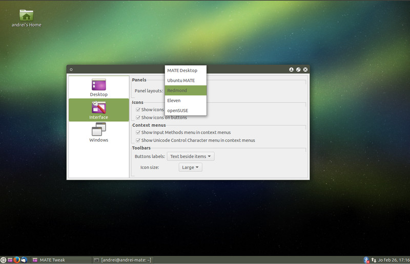 Ubuntu MATE 15.04 MS Windows